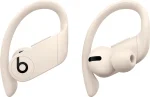 Beats - Powerbeats Pro Totally Wireless Earbuds