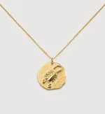 Scorpio Zodiac Chain Necklace